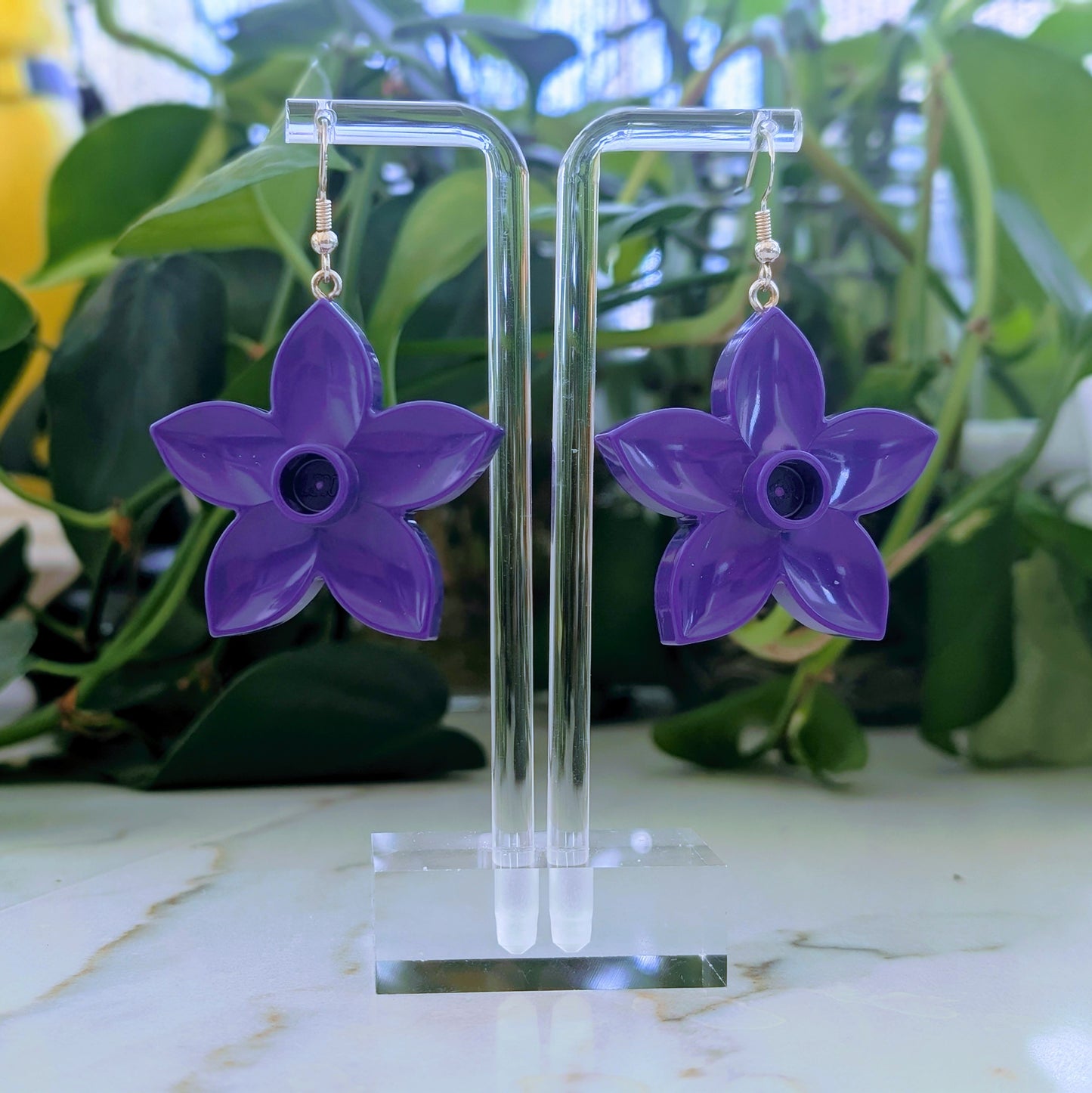 Star Flowers